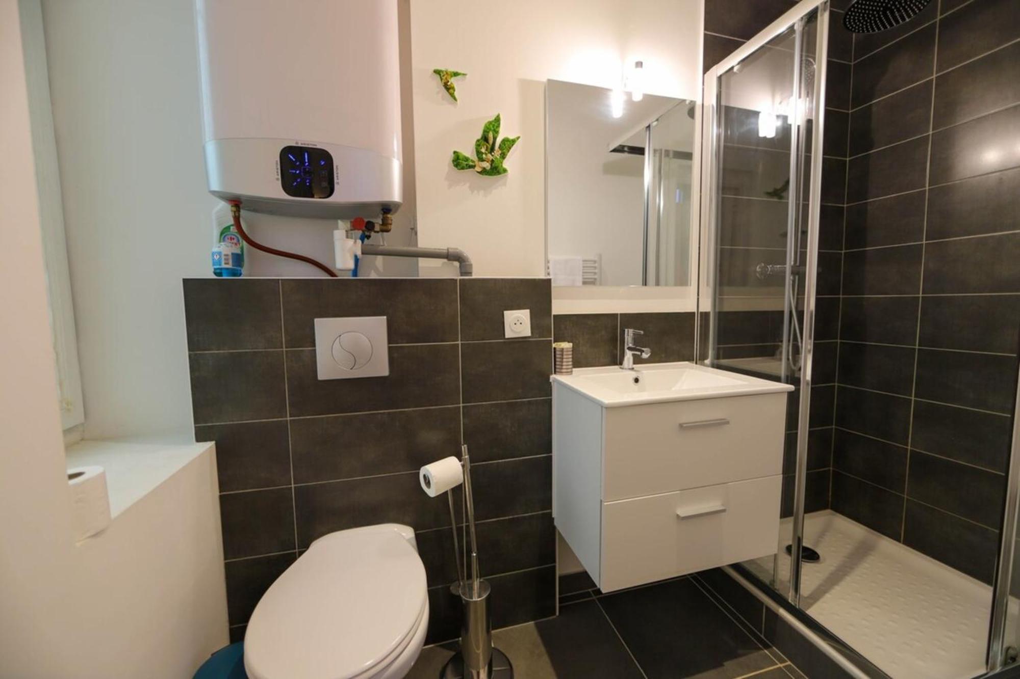 Le Petit Plus - Studio Confortable Avec Parking Appartement Annecy Buitenkant foto