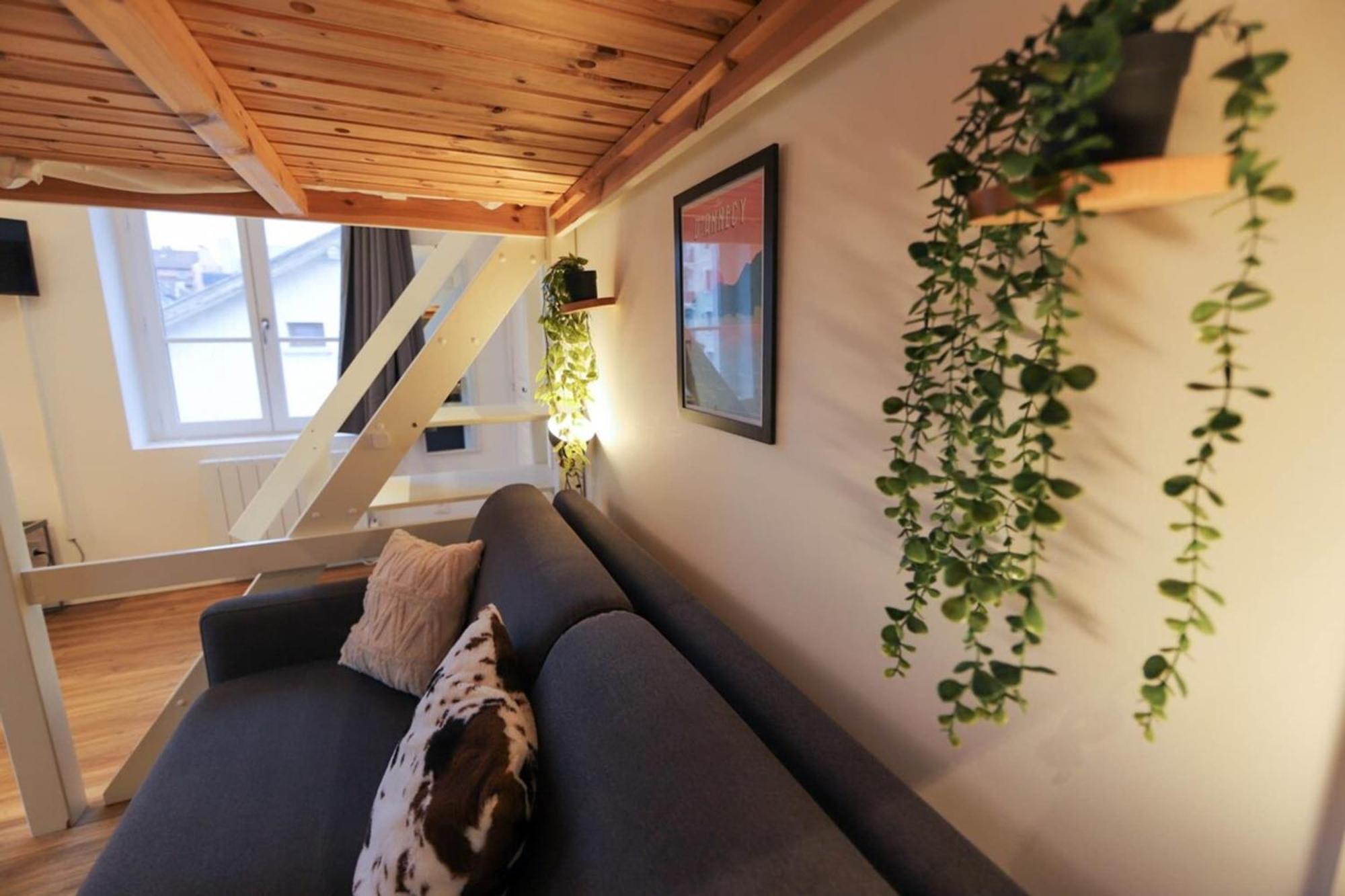 Le Petit Plus - Studio Confortable Avec Parking Appartement Annecy Buitenkant foto